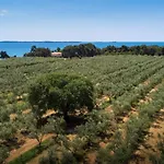Διαμέρισμα Casa Benessere Istria Vodnjan
