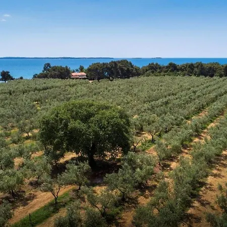 アパート Casa Benessere Istria ボドニャン