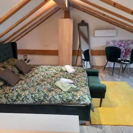 アパート Casa Benessere Istria ボドニャン