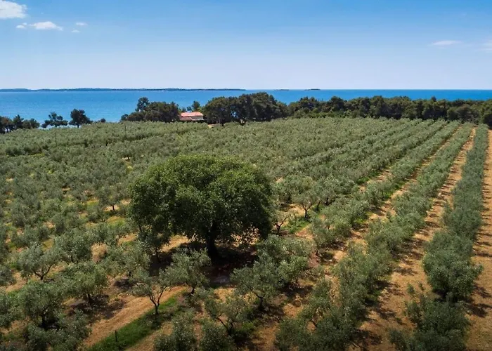 Apartament Casa Benessere Istria Vodnjan